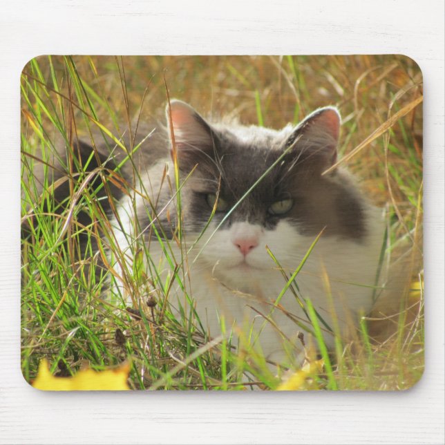 Sonne tanken. mousepad (Vorne)