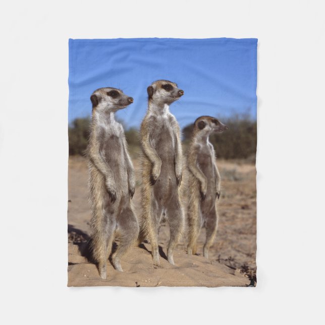 Sonnen der Meerkats Fleece-Decke Fleecedecke (Vorderseite)