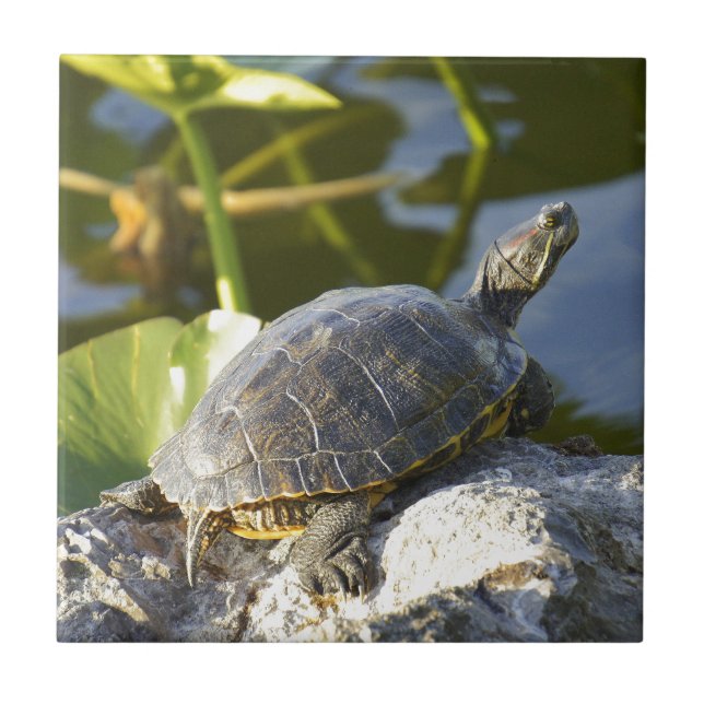 Sonnen Fliese (Vorderseite)