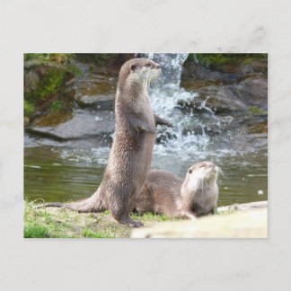 Sonnen Postkarte