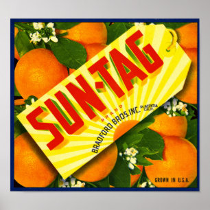 Sonnen-Tag-Marke Orange Fruchtkistenetikett Poster
