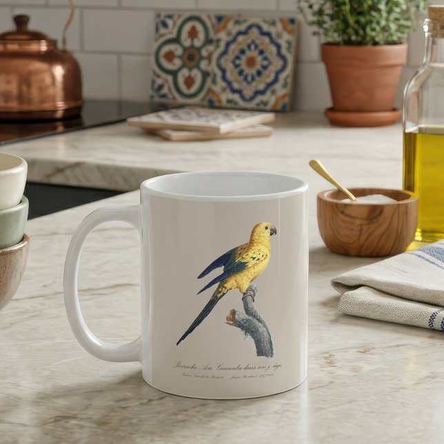 Sonnenaratinga oder Sonnensittich Aratinga solstit Kaffeetasse (Young Sun Parakeet or Conure Aratinga solstitialis. Coffee Mug)