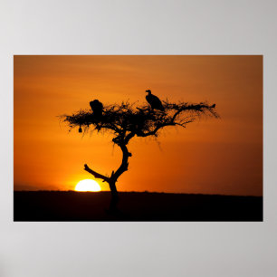 Sonnenaufgang am Masai Mara, Kenia Poster