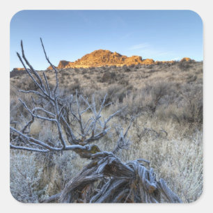 Sonnenaufgang am Squaw Creek, Owyhee County, ID Quadratischer Aufkleber