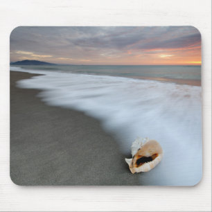 Sonnenaufgang auf dem Strand und einer Muschel Mousepad