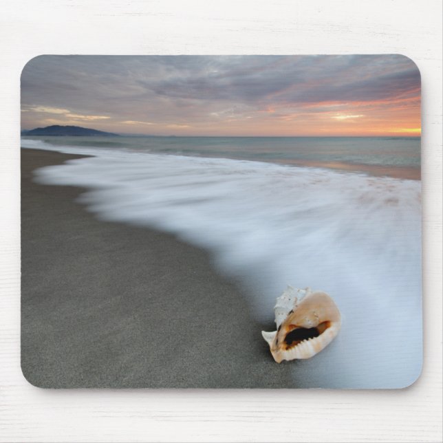 Sonnenaufgang auf dem Strand und einer Muschel Mousepad (Vorne)