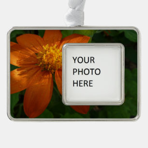 Sonnenaufgang auf der mexikanischen Sonnenblume Or Rahmen-Ornament Silber