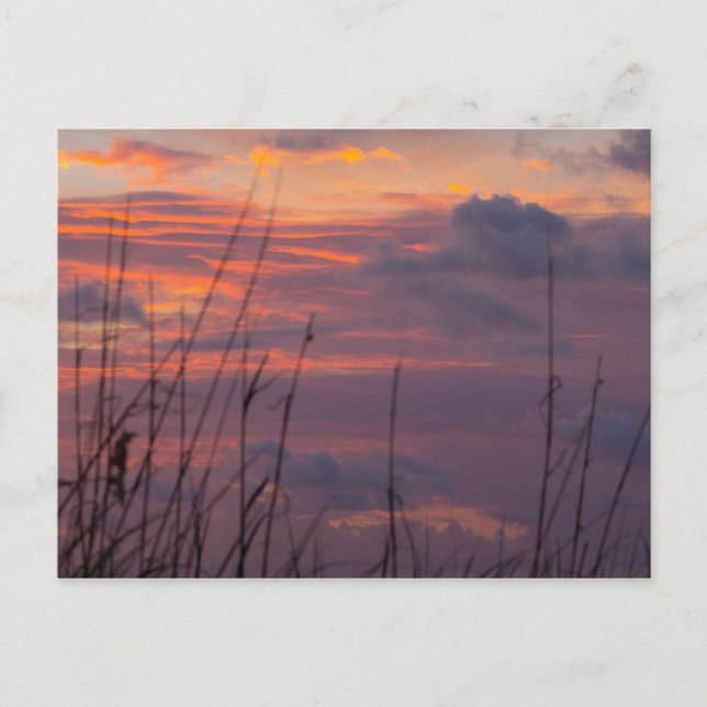 Sonnenaufgang bei Fort Pierce, Florida Postkarte (Vorderseite)