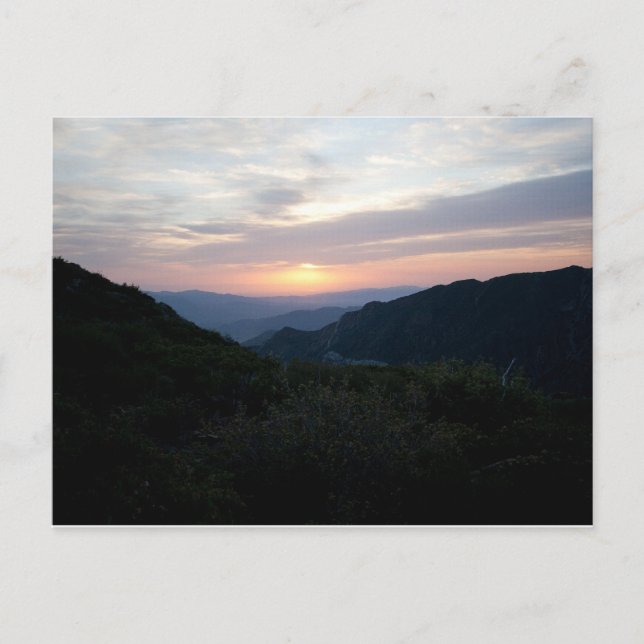 Sonnenaufgang bei Penny Pines Postkarte (Vorderseite)