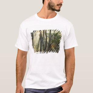 Sonnenaufgang durch Eichen- und Hickorywald, T-Shirt