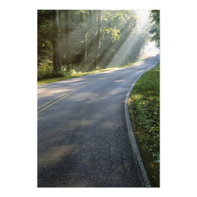 Sonnenaufgang durch Nebel entlang des Green River Fotodruck (Vorne)