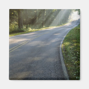 Sonnenaufgang durch Nebel entlang des Green River Magnet