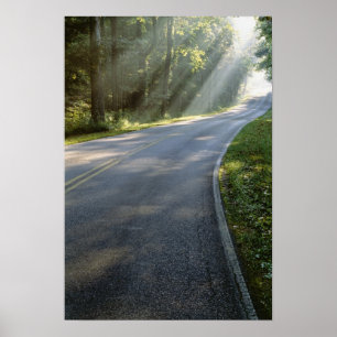 Sonnenaufgang durch Nebel entlang des Green River Poster