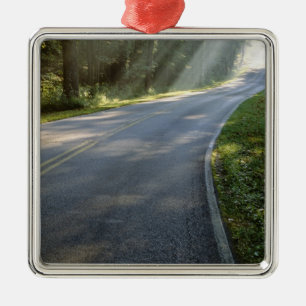 Sonnenaufgang durch Nebel entlang des Green River Silbernes Ornament