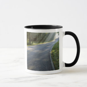 Sonnenaufgang durch Nebel entlang des Green River Tasse