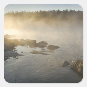 Sonnenaufgang durch Nebel in Anderson Bay, Regneri Quadratischer Aufkleber