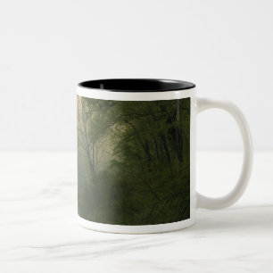 Sonnenaufgang durch Nebel, von Red Bluff aus geseh Zweifarbige Tasse