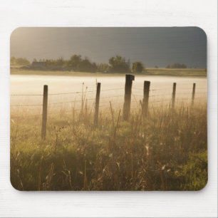Sonnenaufgang erhellt Nebel entlang des Zauns nahe Mousepad