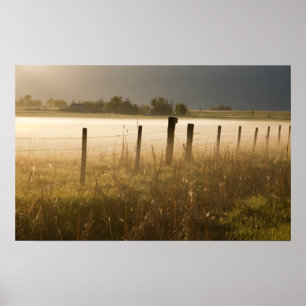 Sonnenaufgang erhellt Nebel entlang des Zauns nahe Poster