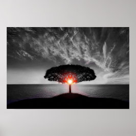 Sonnenaufgang: Farbschlauch Poster