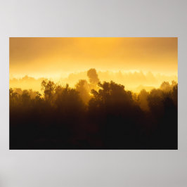 Sonnenaufgang hinter Nebelbäumen Poster