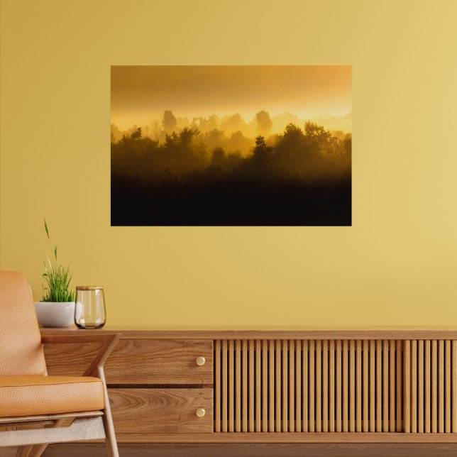 Sonnenaufgang hinter Nebelbäumen Poster (Wohnzimmer 2)