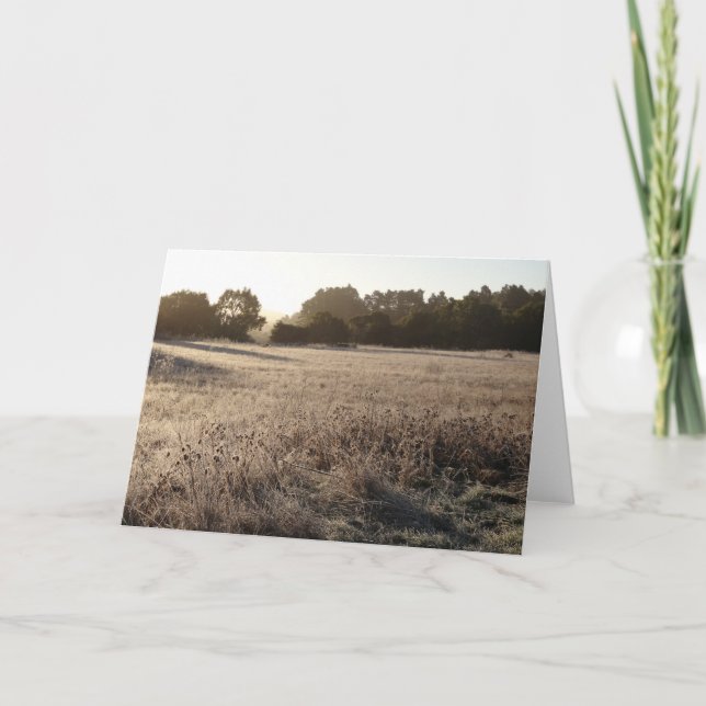 Sonnenaufgang im Bärental Trailhead Landschaft Karte (Vorderseite)