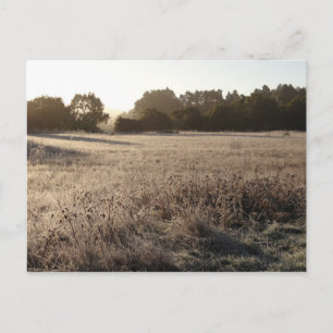 Sonnenaufgang im Bärental Trailhead Landschaft Postkarte