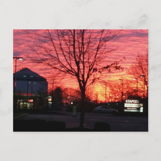 Sonnenaufgang im Schinken, Massachusetts Postkarte (Vorderseite)