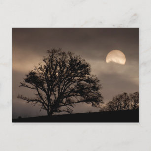 Sonnenaufgang im Umpqua-Tal Postkarte