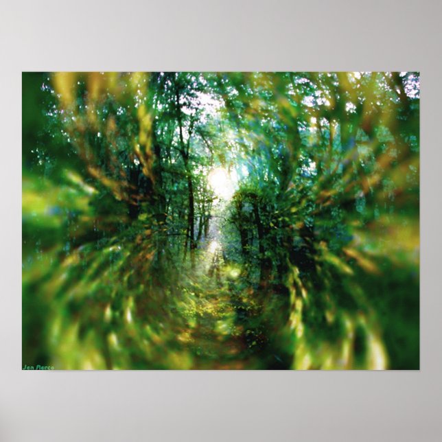 Sonnenaufgang im Wald 2 Poster (Vorne)