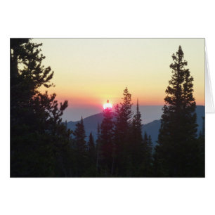 Sonnenaufgang im Wald am Rocky Mountain