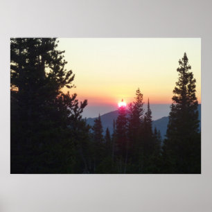 Sonnenaufgang im Wald am Rocky Mountain Poster