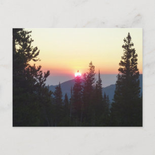 Sonnenaufgang im Wald am Rocky Mountain Postkarte