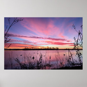 Sonnenaufgang in der Arkansas-Entenblende Poster