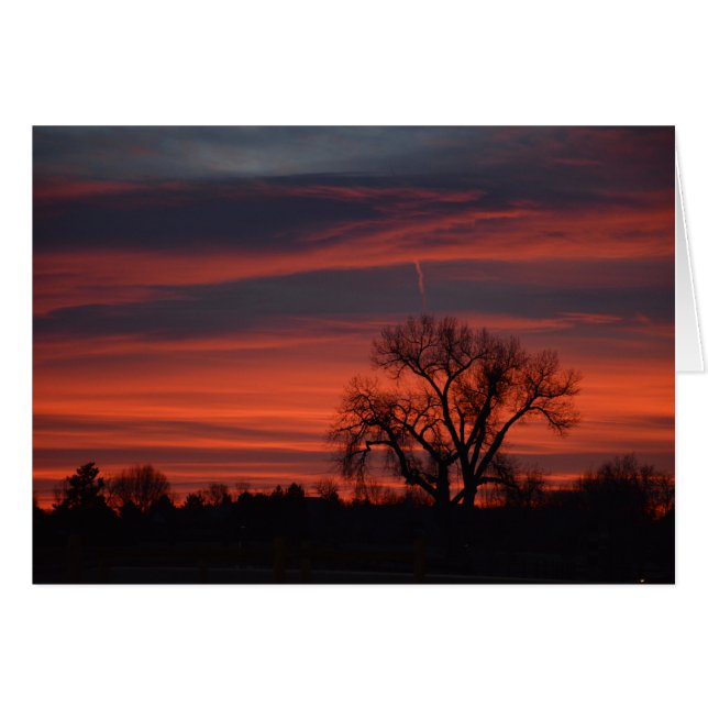 Sonnenaufgang in Harper See (Vorderseite (Horizontal))