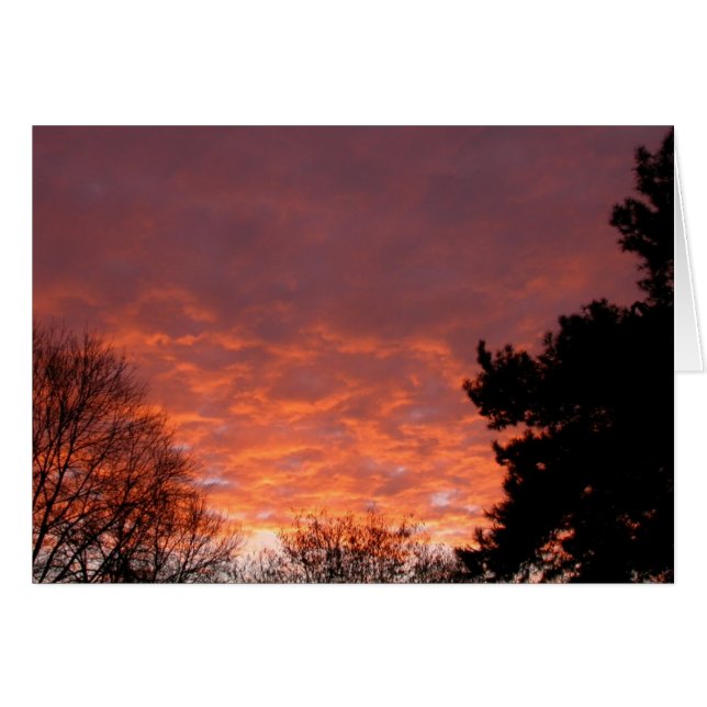 Sonnenaufgang - Januar 2003 (Vorderseite (Horizontal))