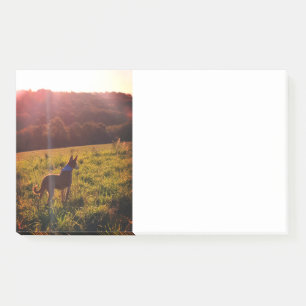 Sonnenaufgang Landschaft mit Hund Post-it Klebezettel