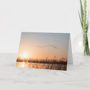 Sonnenaufgang Landschaft Natur Foto Karte