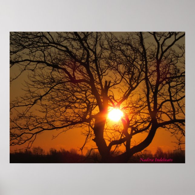 Sonnenaufgang Leinwand drucken Poster (Vorne)