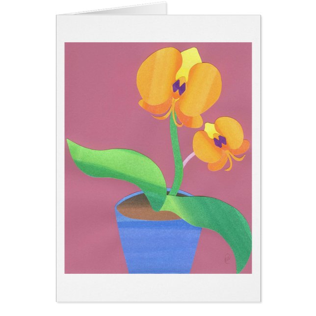 Sonnenaufgang-Orchidee (Vorne)