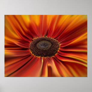 Sonnenaufgang Poster