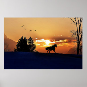 Sonnenaufgang Poster