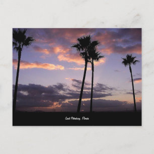 Sonnenaufgang, St. Petersburg, Florida Postkarte