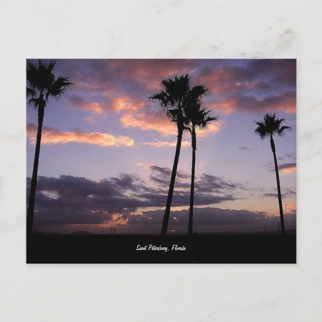 Sonnenaufgang, St. Petersburg, Florida Postkarte (Vorderseite)