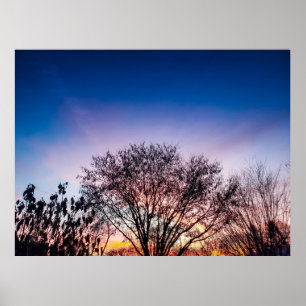 Sonnenaufgang über Bäumen Poster