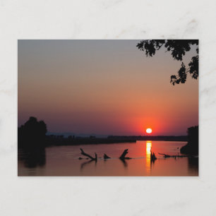 Sonnenaufgang über dem Fluss Zambesi Postkarte