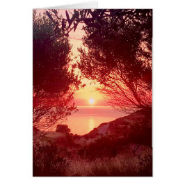 Sonnenaufgang über dem Meer, eingerahmt von Bäumen