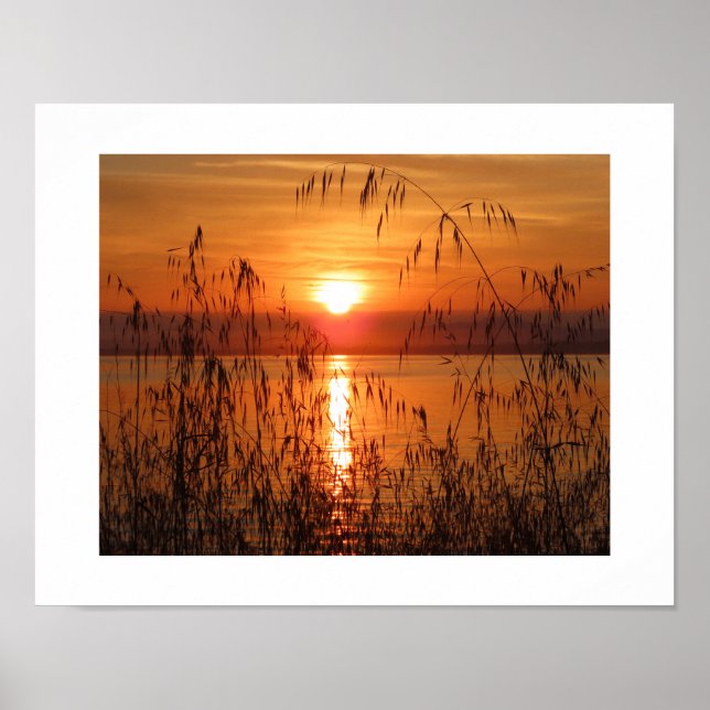 Sonnenaufgang über der Bucht Poster (Vorne)