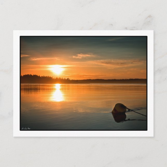 Sonnenaufgang über der Bucht von Passamaquoddy. Po Postkarte (Vorderseite)